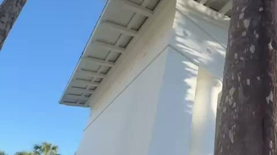 White building eave and palm trunk against a clear sky in Florida